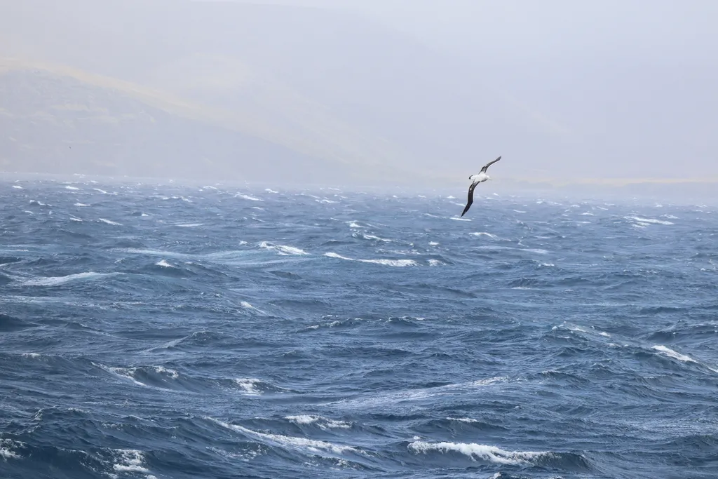 Vendee Gliobe Tuesday:  And then there were two