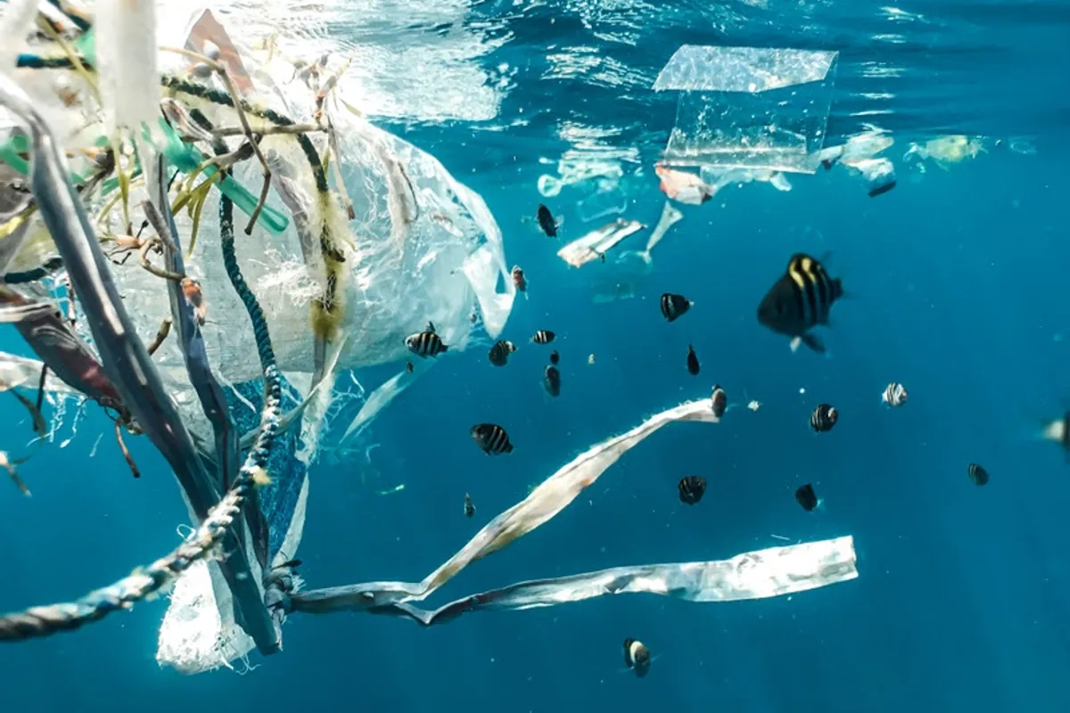 The Ocean Race and Archwey partner to tackle marine plastic